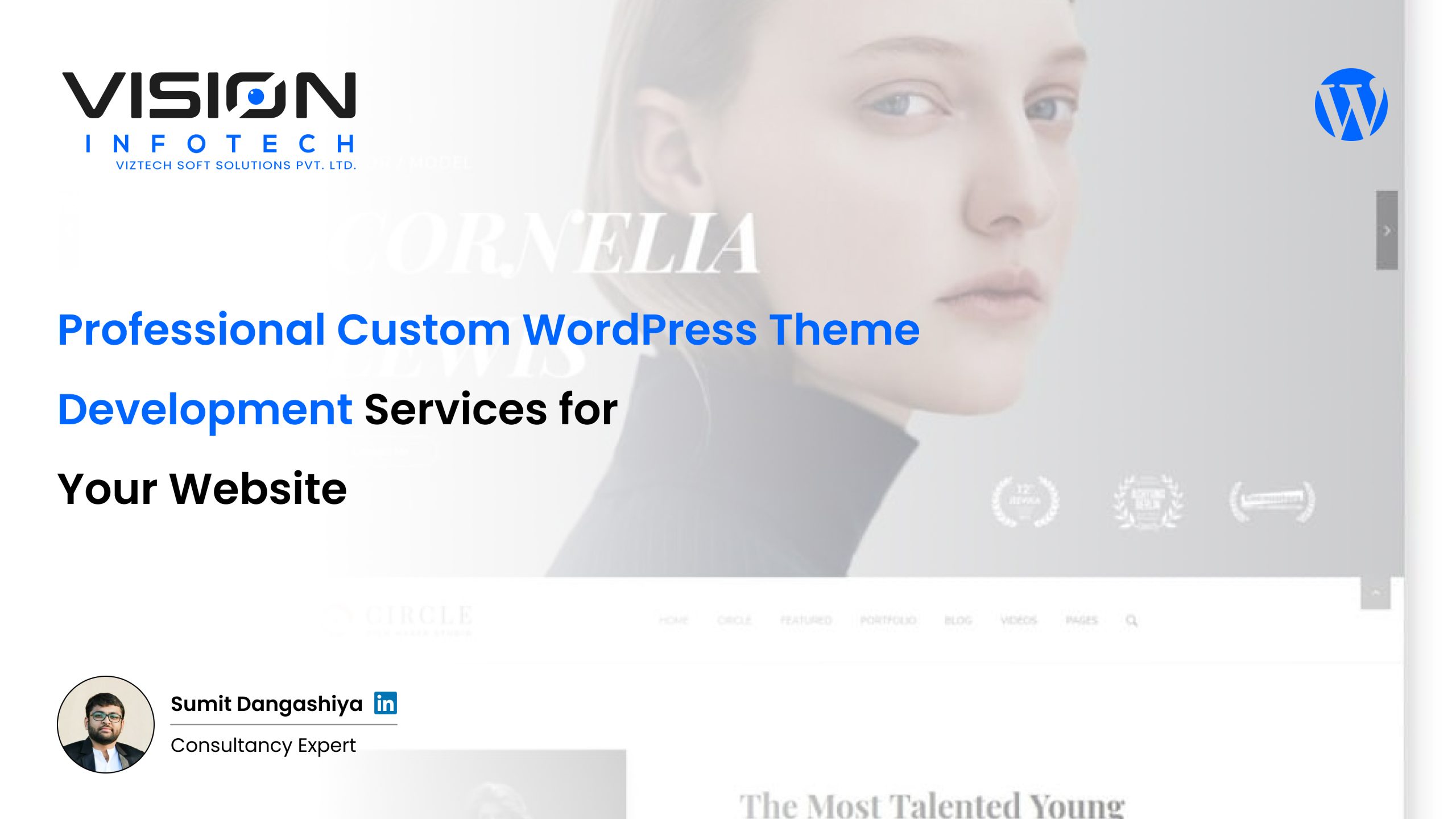 Professional Custom Wordpress Theme Development Services For Your Website