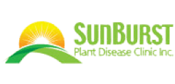 sunburst-website-logo.png
